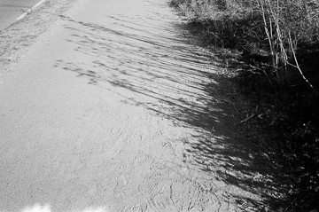 Nature: Nurture, Alameda Beach, CA