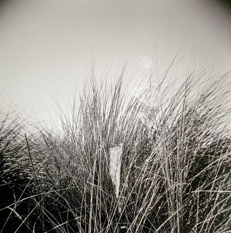 Nature: Nurture, B+W Film, 10 print run