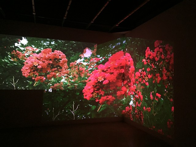 Installation View of Story of an Hour