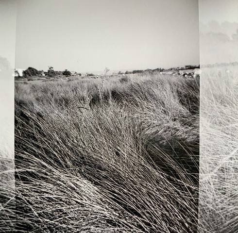 Nature: Nurture, B+W Film, 10 print run