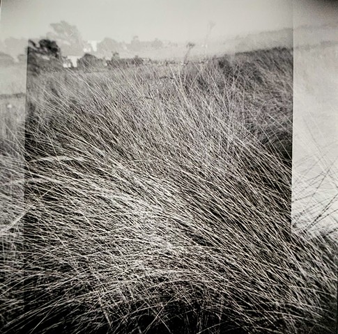 Nature: Nurture, B+W Film, 10 print run