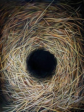nest, hole, weaving, Order, Chaos, Nature, oil painting