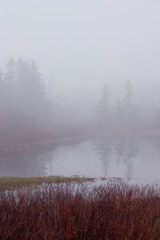 island fog