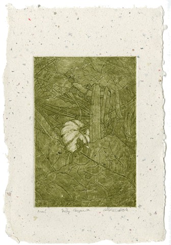 Baby Casperita Proof