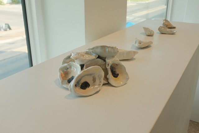 Eastern Oyster Mound and Small Eastern Oysters