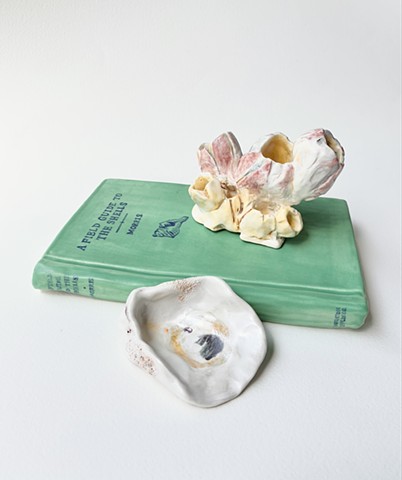 A Field Guide Objects