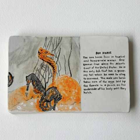 Sea Shell Shoppe Postcard (The Sea Horse)
