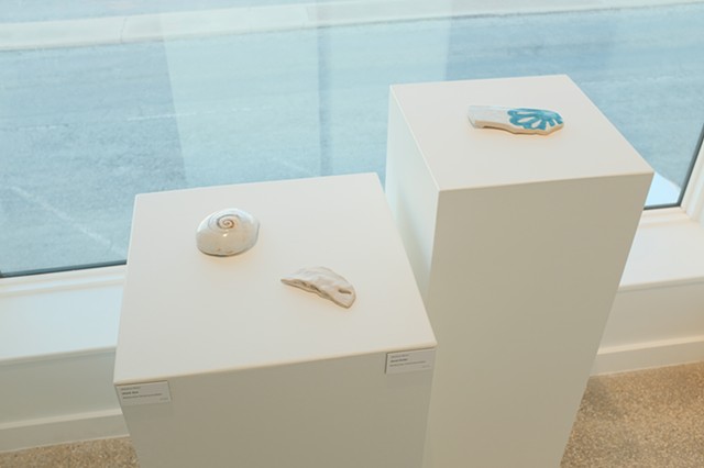 A Field Guide Installation