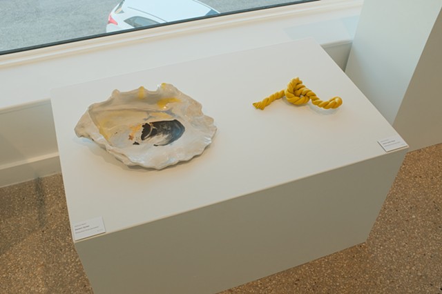 A Field Guide Installation