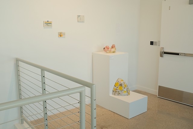 A Field Guide Installation