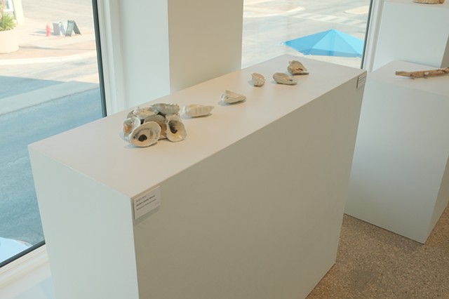 A Field Guide Installation