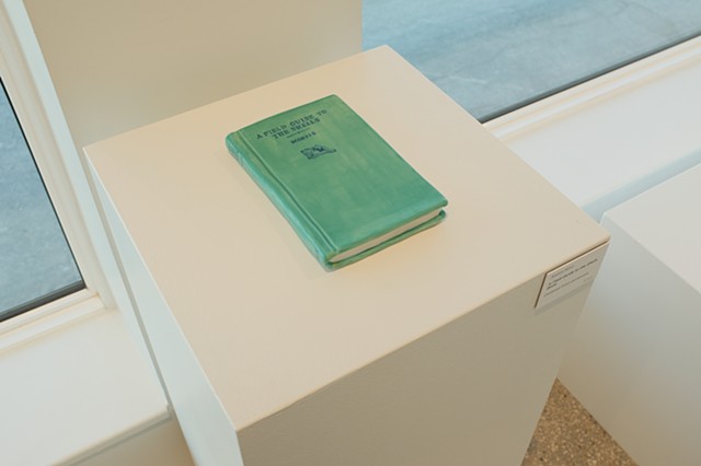 A Field Guide to The Shells Book