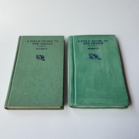 A Field Guide to The Shells Book (with Original)