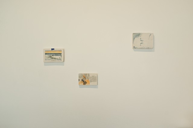 A Field Guide Installation