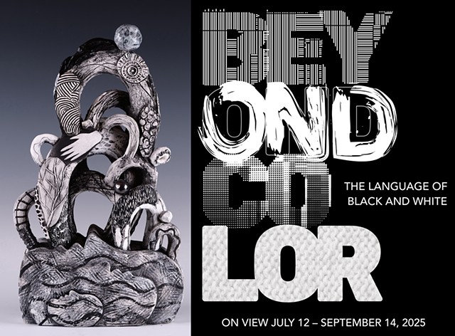 Beyond Color: The Language of Black and White