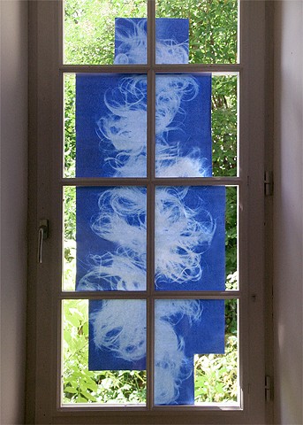 Hair Drawing

Marnay-Sur-Seine, France 2013
Cyanotype Prints
dimensions variable