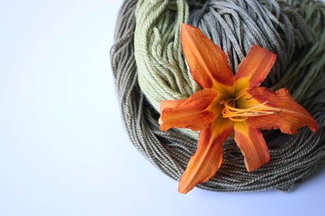 Orange Daylily/ Hemerocallis fulva