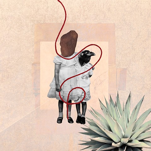 Judi Bommarito                P H O T O graphics