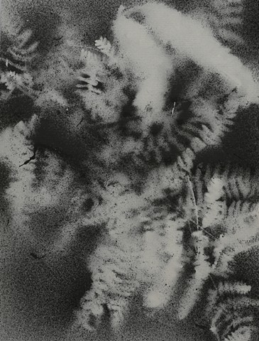 jennifer brou ink drawing artist