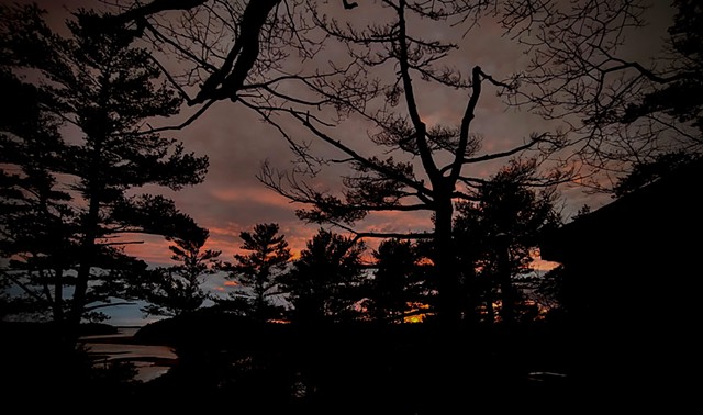 jennifer brou seguin knitwear designer artist