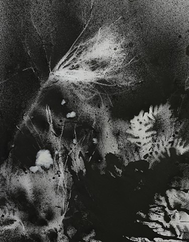 jennifer brou ink drawing artist