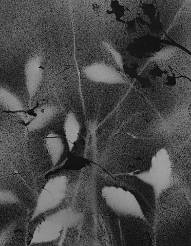 jennifer brou ink drawing artist