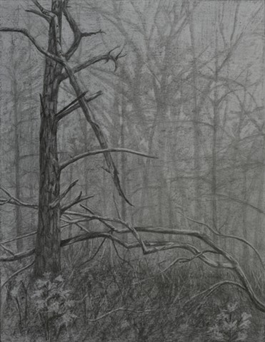 jennifer brou graphite drawing artist