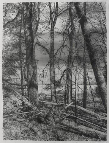 Early Spring