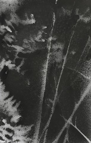 Jennifer Brou ink drawings artist