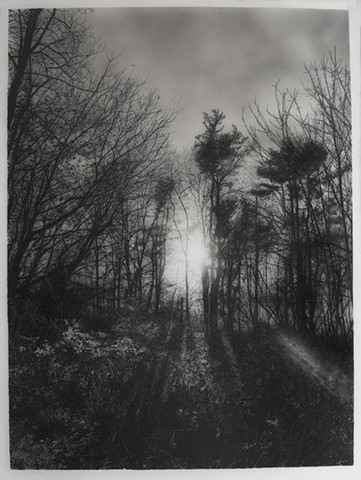 Jennifer Brou drawings