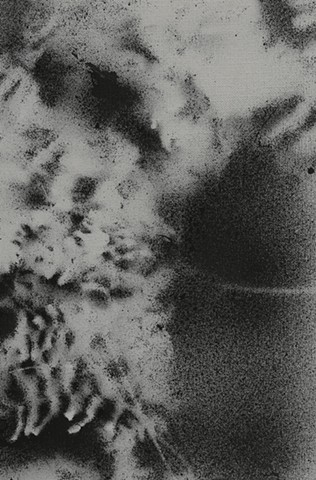 Jennifer Brou ink drawings artist