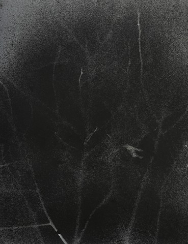 jennifer brou ink drawing artist