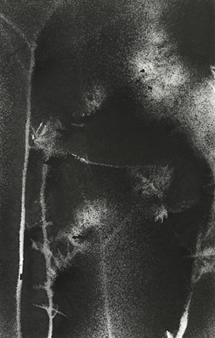 Jennifer Brou ink drawings artist