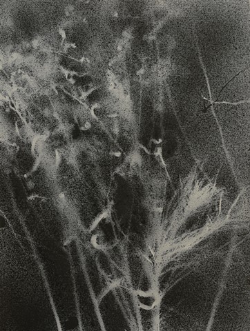 jennifer brou ink drawing artist