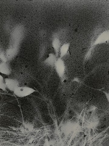 jennifer brou ink drawing artist