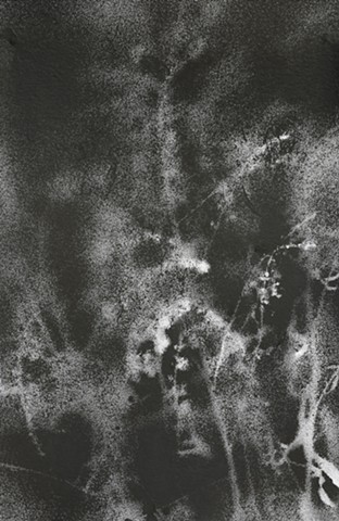 Jennifer Brou ink drawings artist