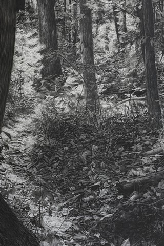jennifer brou graphite drawing