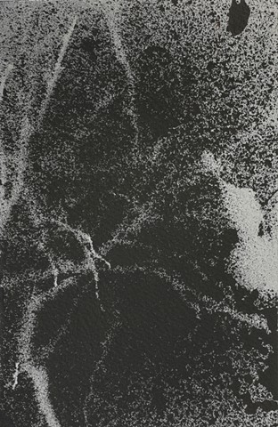 Jennifer Brou ink drawings artist