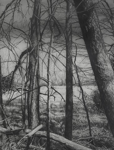 jennifer brou graphite drawing