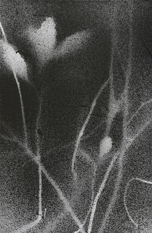 Jennifer Brou ink drawings artist