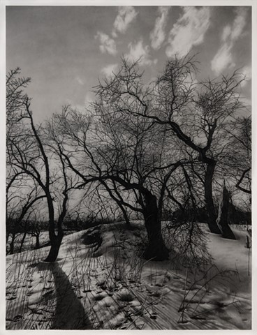 Jennifer Brou drawing artist graphite