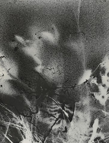 jennifer brou ink drawing artist