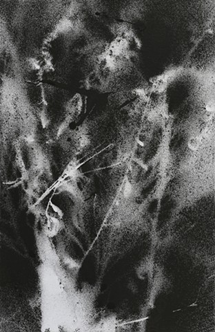 Jennifer Brou ink drawings artist