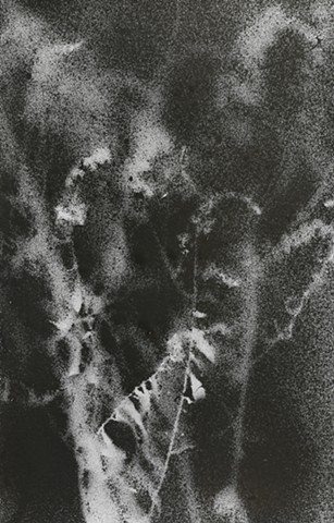 Jennifer Brou ink drawings artist