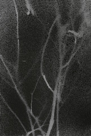 Jennifer Brou ink drawings artist