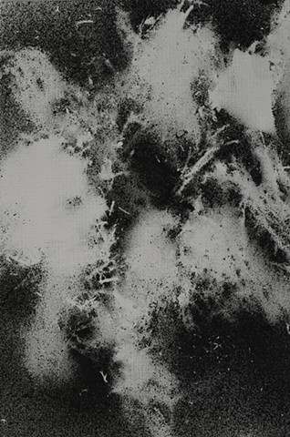 Jennifer Brou ink drawings artist