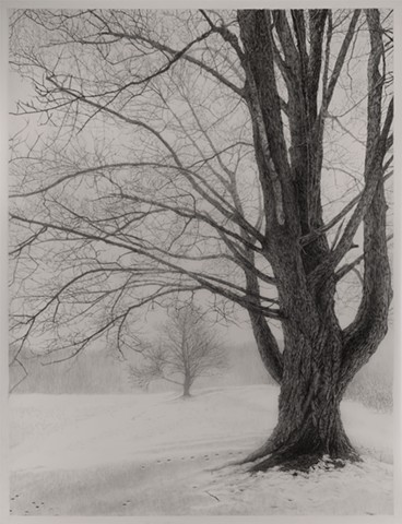 First Snow