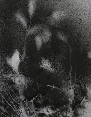 jennifer brou ink drawing artist