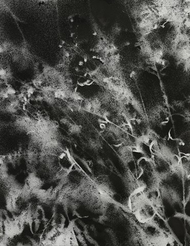 jennifer brou ink drawing artist