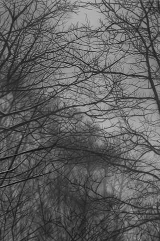 Jennifer Brou drawing graphite
